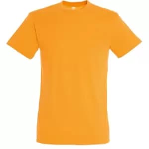 SOLS Mens Regent Short Sleeve T-Shirt (L) (Apricot)