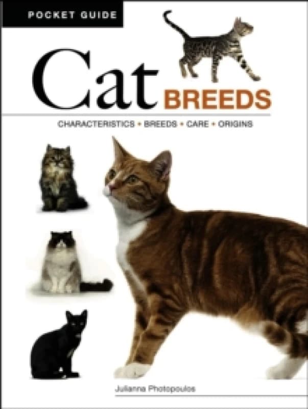 Cat Breeds : Characteristics * Breeds * Care * Origins Paperback / softback