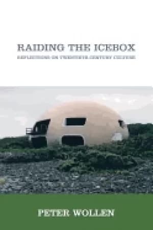 raiding the icebox reflections on twentieth century culture