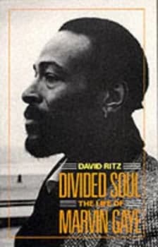 Divided Soul Paperback