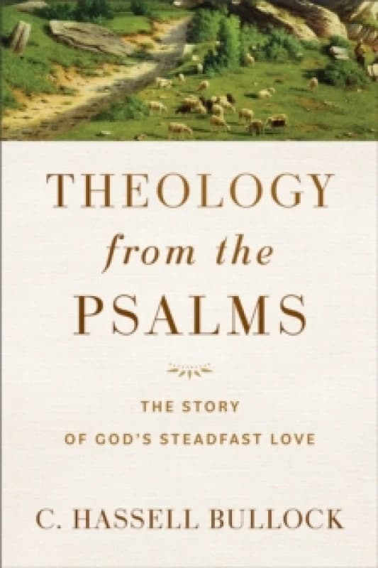 Theology from the Psalms The Story of God`s Steadfast Love Paperback / softback