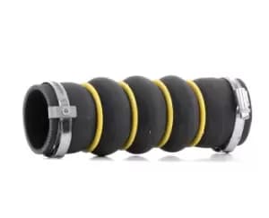 GATES Turbocharger Hose PEUGEOT,CITROEN,DS 09-0129 0382NP,0382NP,0382NP Charger Intake Hose