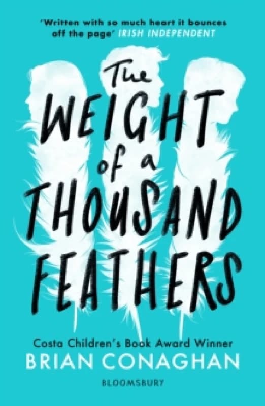 The Weight of a Thousand Feathers Paperback / softback