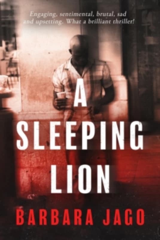 A Sleeping Lion Paperback / softback