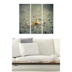 MDF1812470 Multicolor Decorative MDF Painting (3 Pieces)