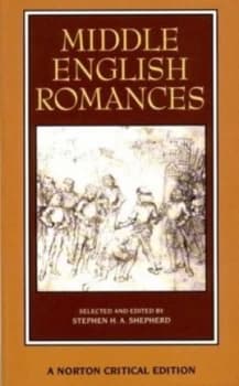 Middle English Romances by Stephen H.A. Shepherd Paperback