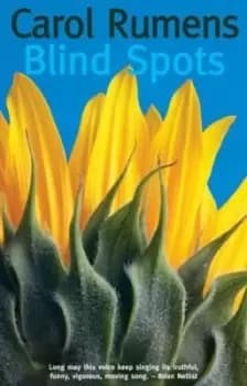 Blind spots by Carol Rumens