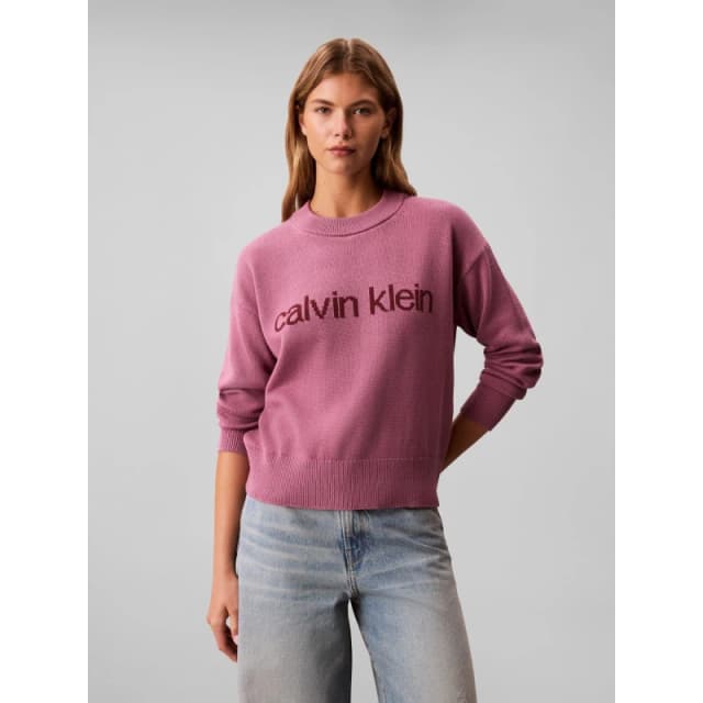 Calvin Klein Jeans Womens Graphic Crew Neck Jumper Bordeaux female 8 (XS)