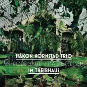 Im Treibhaus by Håkon Kornstad Trio CD Album