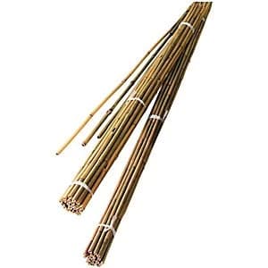 Wickes Bamboo Canes 1.2m - Pack of 10