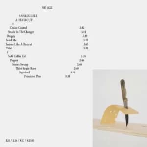 Snares Like a Haircut by No Age Vinyl Album