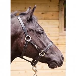 John Whitaker Breeder Headcollar - Black