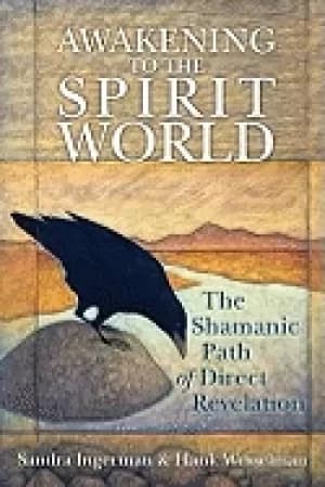 awakening to the spirit world the shamanic path of direct revelation