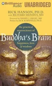 Buddha's Brain by Alan Bomar Jones