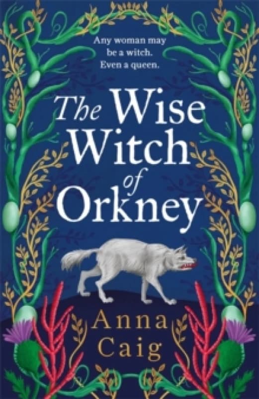 The Wise Witch of Orkney : A spell-binding debut novel about Scotlands witch-hunting hysteria Hardback