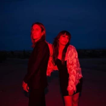 Starlight Cleaning Co. - Starlight Cleaning Co. Vinyl