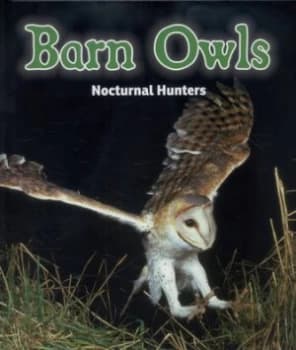 Barn Owls by Rebecca Rissman Hardback