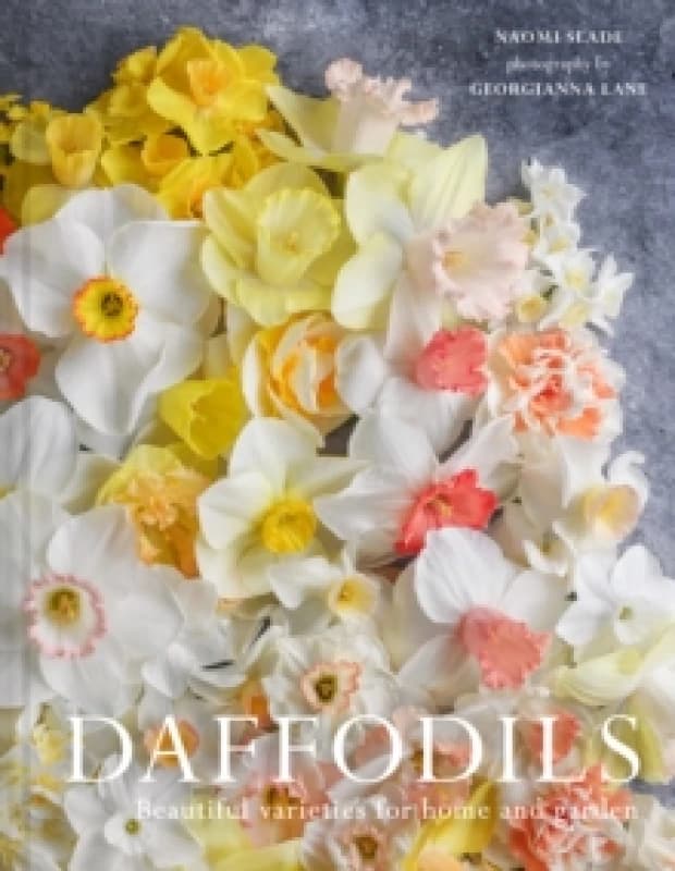 Daffodils : Beautiful Varieties for Home and Garden Hardback