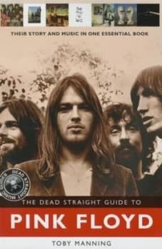 The Dead Straight Guide to Pink Floyd by Roy Jones Paperback