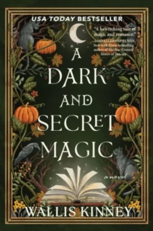 A Dark and Secret Magic : A Novel Paperback / softback