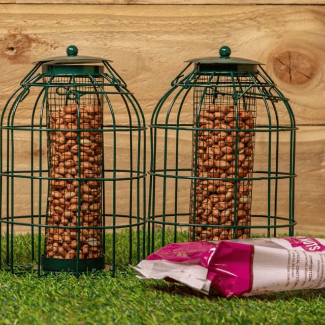 Pack of 2 Samuel Alexander Metal Hanging Bird Nut Feeder with Squirrel Guard & Pack of Nut Feed