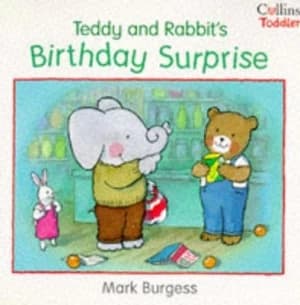 Teddy and Rabbits Birthday Surprise by Mark Burgess Book