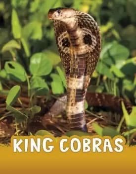 King Cobras by Jaclyn Jaycox