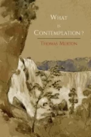 what is contemplation