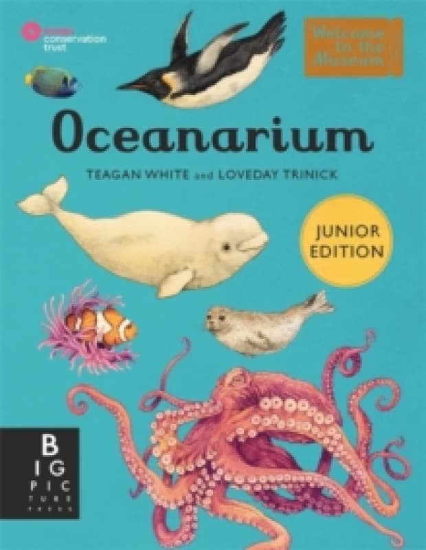 Oceanarium (Junior Edition) Hardback
