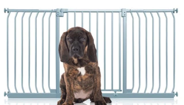 Bettacare Elite Pressure Dog Gate, 161Cm - 170Cm, Matt Grey, Pressure Fit Pet Gate For Dog And Puppy