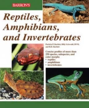 Reptiles Amphibians and Invertebrates by R.D. Bartlett Paperback