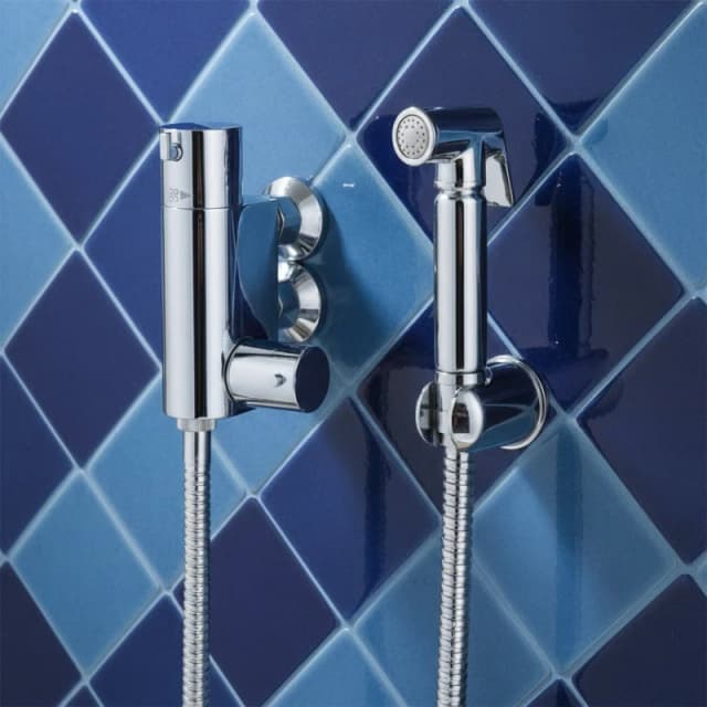 Nes Home Bidet Douche & Mini Thermostatic Bar Valve with Spray Kit in Metallic Silver Metallic Silver Unisex