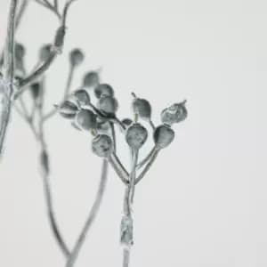 Crossland Grove Berry Spray Black Wash (6Pk) H800Mm