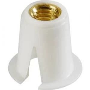 Cap nut Polyamide x H 8mm x 0.3 mm