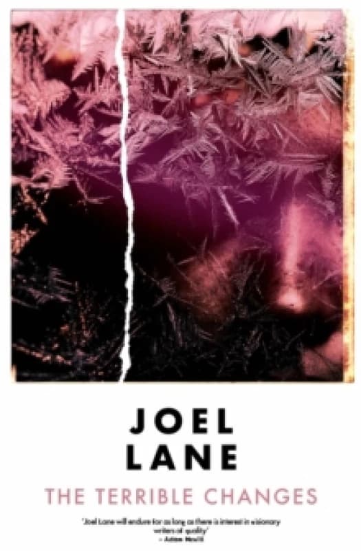 The Terrible Changes Paperback / softback