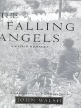 The Falling Angels by John Walsh Hardback