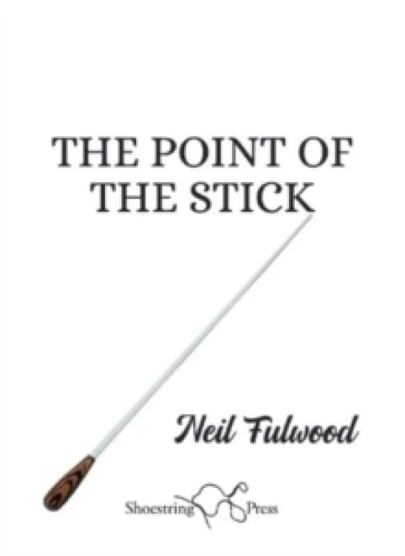 The Point of the Stick Paperback / softback