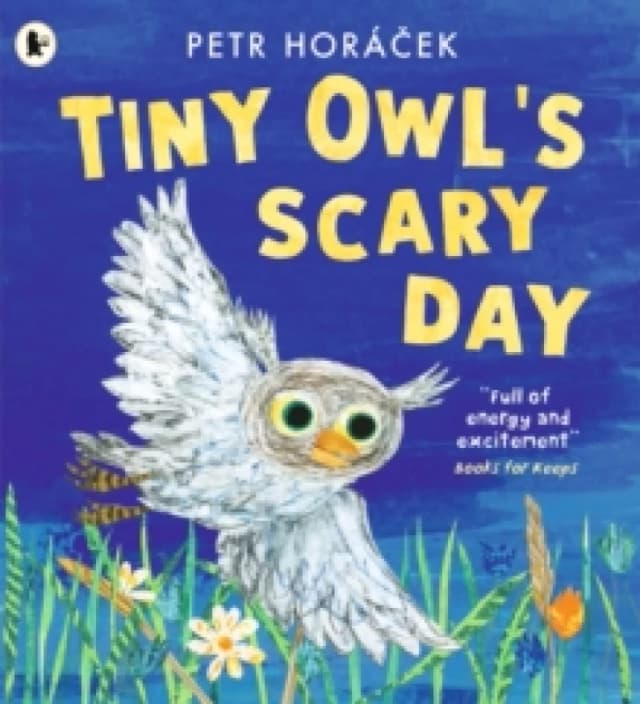 Tiny Owl's Scary Day Paperback / softback