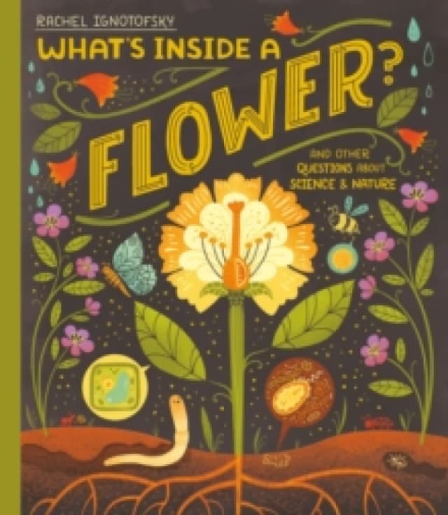 What's Inside a Flower? And other questions about science and nature Paperback / softback