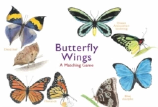 Butterfly Wings : A Matching Game Cards
