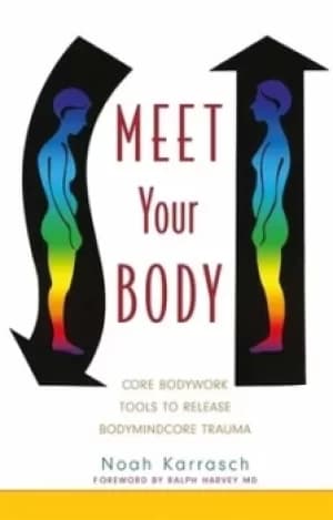 Meet your body by Noah Karrasch