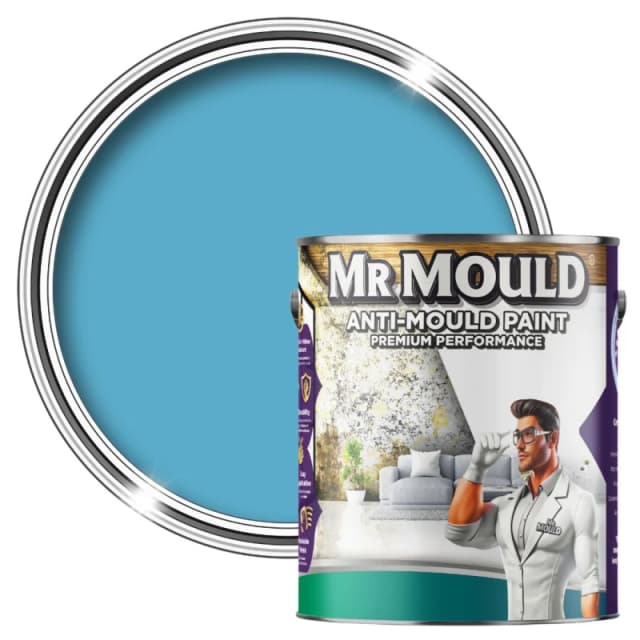 MR MOULD Anti-Mould Paint - 1L - Best Anti Mould Protection Paint for all Interior Walls & Ceilings in Pale Blue Pale Blue Unisex 1L