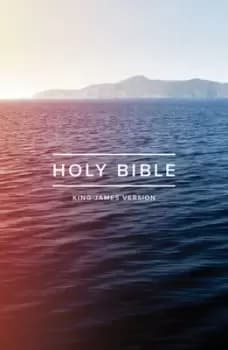 KJV outreach Bible by