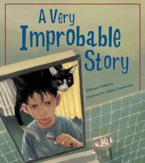 A Very Improbable Story by Edward Einhorn Paperback