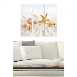 MDFFTR1002 Multicolor Decorative MDF Painting (3 Pieces)