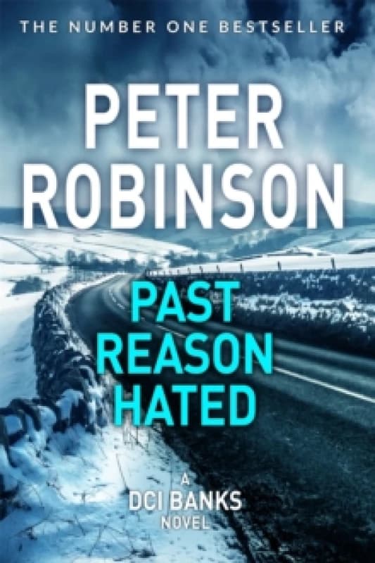 Past Reason Hated Paperback / softback