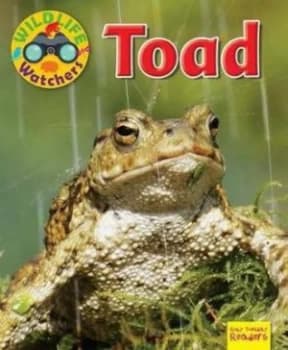 Wildlife Watchers Toad 2017 by Ruth Owen Paperback
