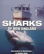 sharks of new england