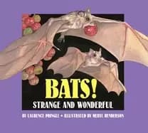 bats strange and wonderful