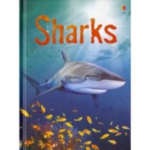 Sharks by Catriona Clarke (Hardback, 2007)